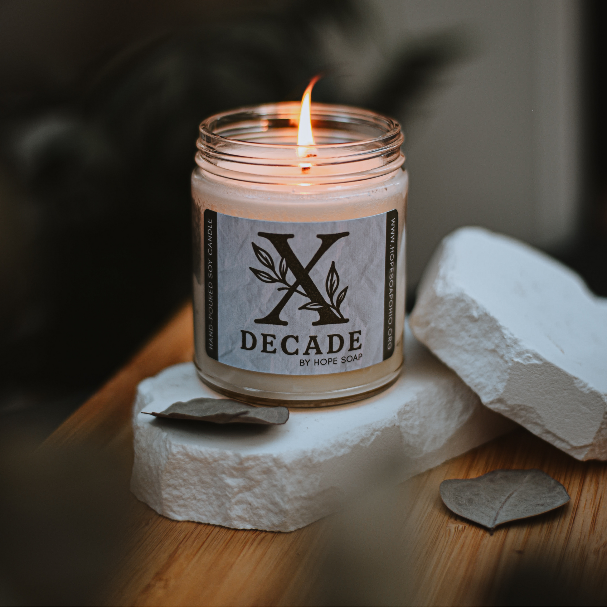 DECADE 8 oz Candle - HOPESOAPOHIO