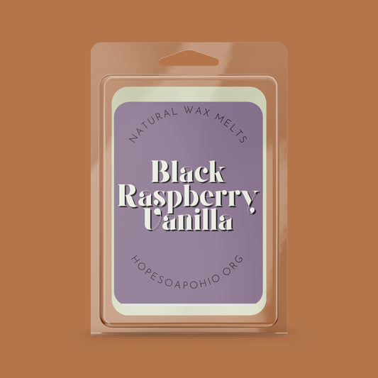 Black Raspberry & Vanilla Wax Melt - HOPESOAPOHIO